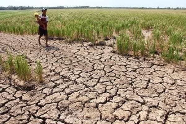 ボランティア（8）